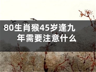 80生肖猴45岁逢九年需要注意什么