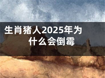 生肖猪人2025年为什么会倒霉