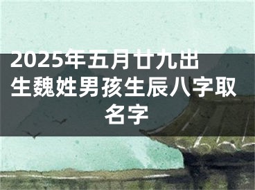 2025年五月廿九出生魏姓男孩生辰八字取名字