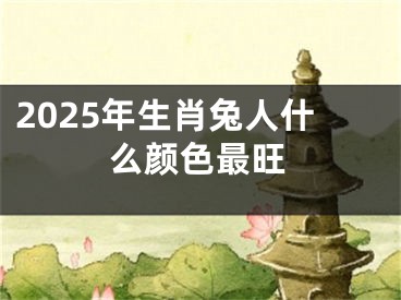 2025年生肖兔人什么颜色最旺