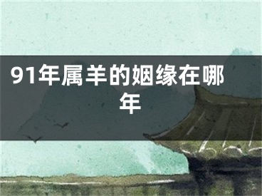 91年属羊的姻缘在哪年