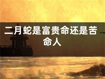 二月蛇是富贵命还是苦命人