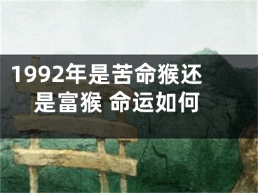 1992年是苦命猴还是富猴 命运如何