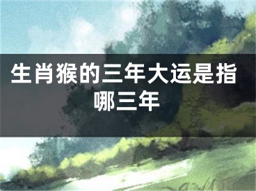 生肖猴的三年大运是指哪三年