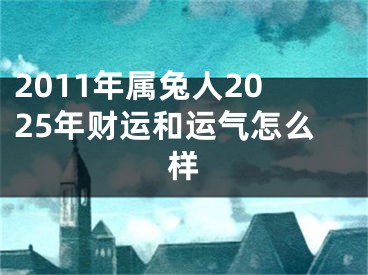 2011年属兔人2025年财运和运气怎么样