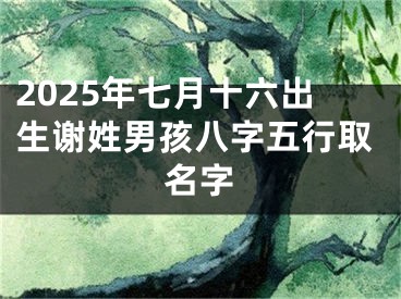 2025年七月十六出生谢姓男孩八字五行取名字