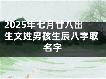 2025年七月廿八出生文姓男孩生辰八字取名字