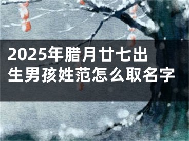 2025年腊月廿七出生男孩姓范怎么取名字