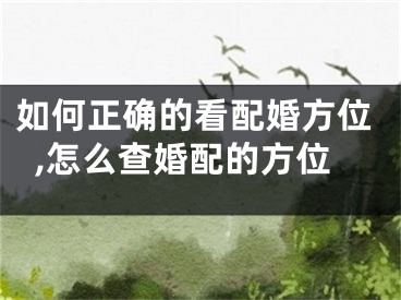 如何正确的看配婚方位,怎么查婚配的方位
