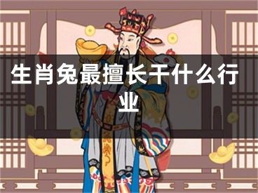 生肖兔最擅长干什么行业