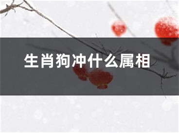 生肖狗冲什么属相