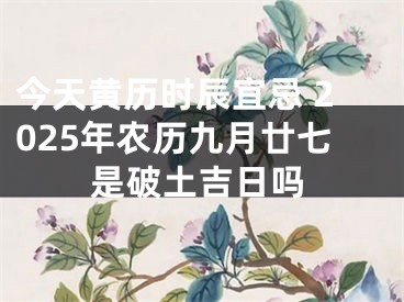 今天黄历时辰宜忌 2025年农历九月廿七是破土吉日吗