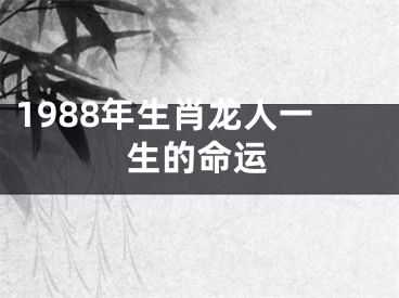1988年生肖龙人一生的命运