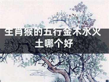 生肖猴的五行金木水火土哪个好