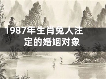 1987年生肖兔人注定的婚姻对象