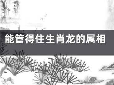 能管得住生肖龙的属相