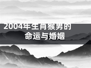 2004年生肖猴男的命运与婚姻