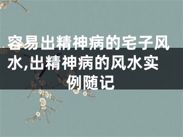 容易出精神病的宅子风水,出精神病的风水实例随记