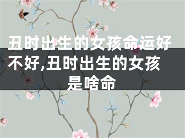 丑时出生的女孩命运好不好,丑时出生的女孩是啥命