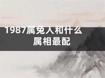 1987属兔人和什么属相最配