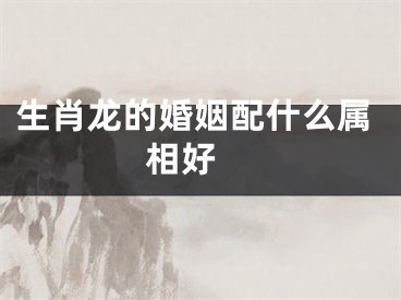 生肖龙的婚姻配什么属相好 