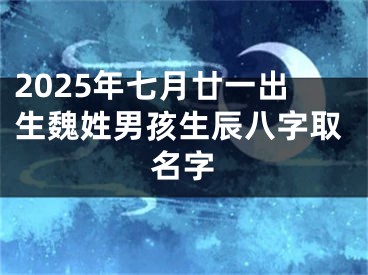 2025年七月廿一出生魏姓男孩生辰八字取名字