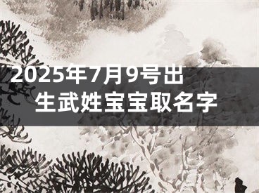 2025年7月9号出生武姓宝宝取名字