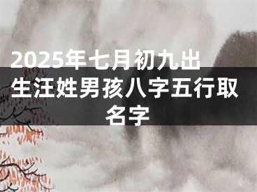2025年七月初九出生汪姓男孩八字五行取名字