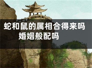 蛇和鼠的属相合得来吗 婚姻般配吗 
