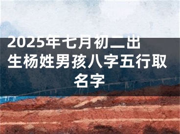 2025年七月初二出生杨姓男孩八字五行取名字
