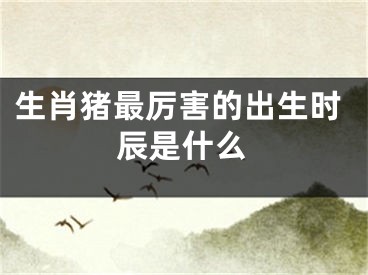生肖猪最厉害的出生时辰是什么