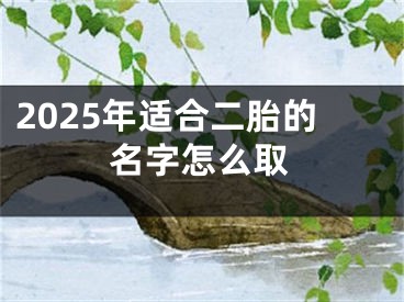 2025年适合二胎的名字怎么取