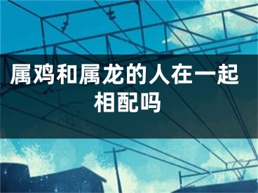 属鸡和属龙的人在一起相配吗
