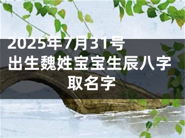 2025年7月31号出生魏姓宝宝生辰八字取名字