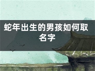 蛇年出生的男孩如何取名字