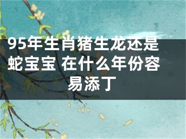 95年生肖猪生龙还是蛇宝宝 在什么年份容易添丁