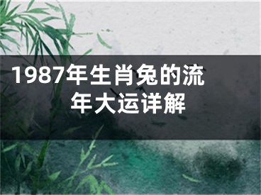 1987年生肖兔的流年大运详解
