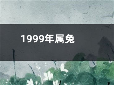 1999年属兔