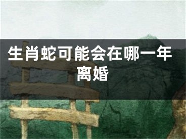 生肖蛇可能会在哪一年离婚