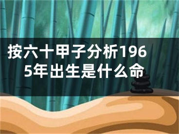 按六十甲子分析1965年出生是什么命