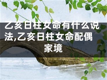 乙亥日柱女命有什么说法,乙亥日柱女命配偶家境