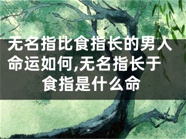 无名指比食指长的男人命运如何,无名指长于食指是什么命