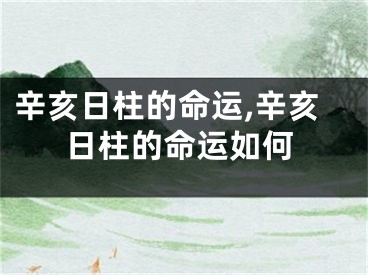 辛亥日柱的命运,辛亥日柱的命运如何