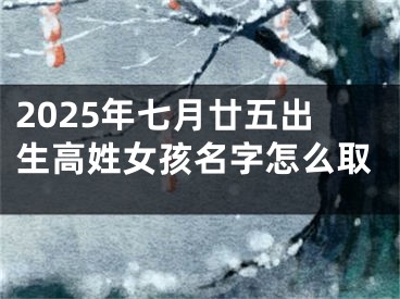 2025年七月廿五出生高姓女孩名字怎么取