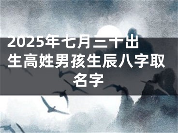 2025年七月三十出生高姓男孩生辰八字取名字