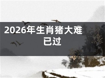 2026年生肖猪大难已过