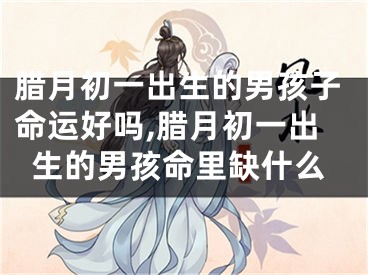 腊月初一出生的男孩子命运好吗,腊月初一出生的男孩命里缺什么