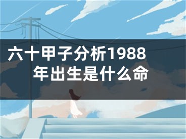六十甲子分析1988年出生是什么命
