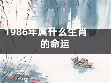 1986年属什么生肖的命运