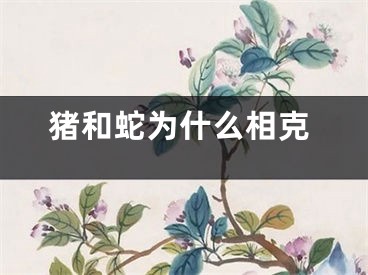 猪和蛇为什么相克